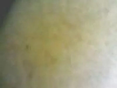 Garota gorda com peitos enormes ver vídeo pornô de brasileiras faz sexo e fica com leite