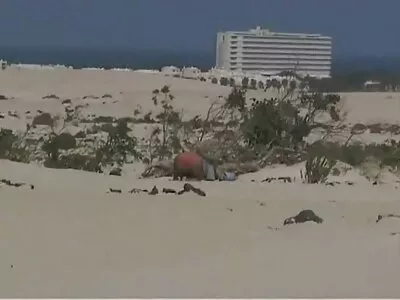 Eu amo quero ver vídeo pornô de mulher brasileira quando ela esta amarrada